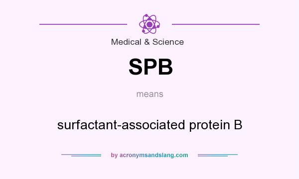 What does SPB mean? It stands for surfactant-associated protein B