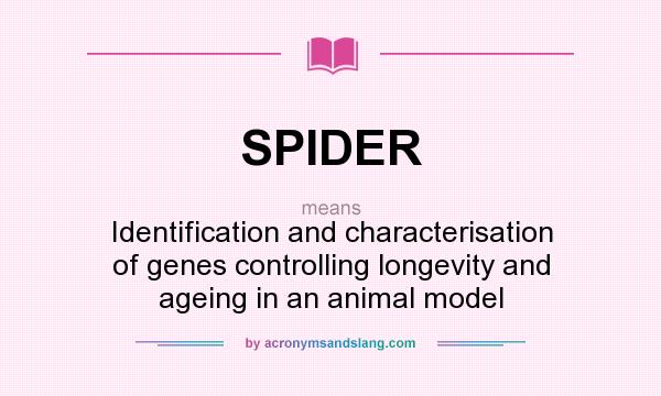 What does SPIDER mean? It stands for Identification and characterisation of genes controlling longevity and ageing in an animal model