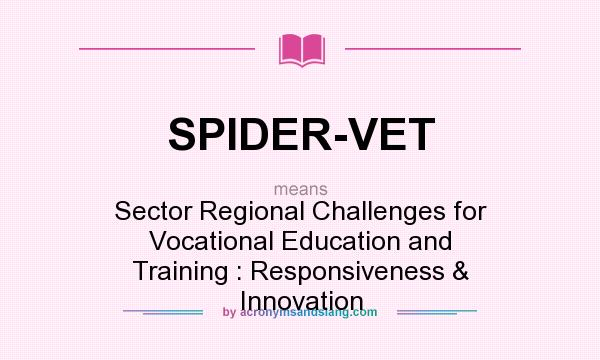 What does SPIDER-VET mean? It stands for Sector Regional Challenges for Vocational Education and Training : Responsiveness & Innovation