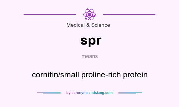 What does spr mean? It stands for cornifin/small proline-rich protein