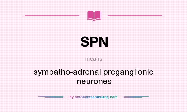 What does SPN mean? It stands for sympatho-adrenal preganglionic neurones