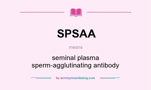 What does SPSAA mean? It stands for seminal plasma sperm-agglutinating antibody