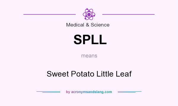 What does SPLL mean? It stands for Sweet Potato Little Leaf