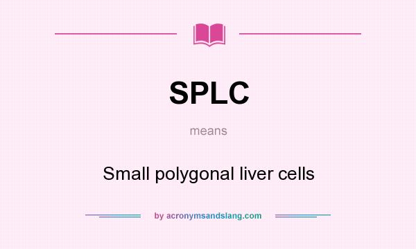 What does SPLC mean? It stands for Small polygonal liver cells