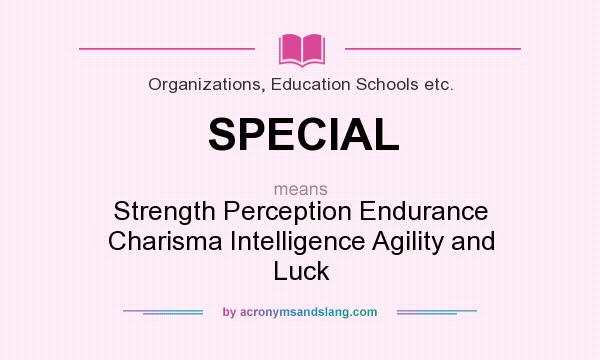 What does SPECIAL mean? It stands for Strength Perception Endurance Charisma Intelligence Agility and Luck