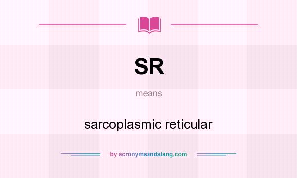 What does SR mean? It stands for sarcoplasmic reticular