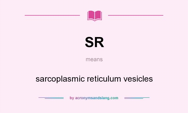 What does SR mean? It stands for sarcoplasmic reticulum vesicles