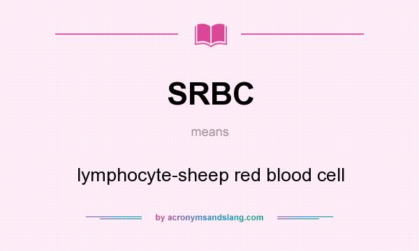 What does SRBC mean? It stands for lymphocyte-sheep red blood cell