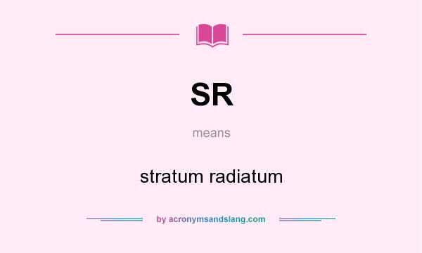 What does SR mean? It stands for stratum radiatum