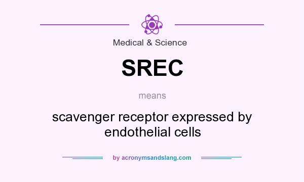 What does SREC mean? It stands for scavenger receptor expressed by endothelial cells
