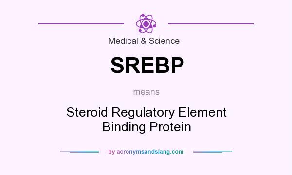 What does SREBP mean? It stands for Steroid Regulatory Element Binding Protein