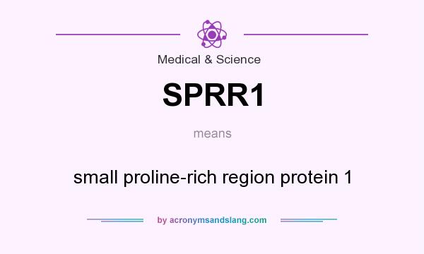 What does SPRR1 mean? It stands for small proline-rich region protein 1