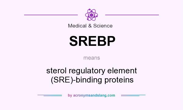 What does SREBP mean? It stands for sterol regulatory element (SRE)-binding proteins
