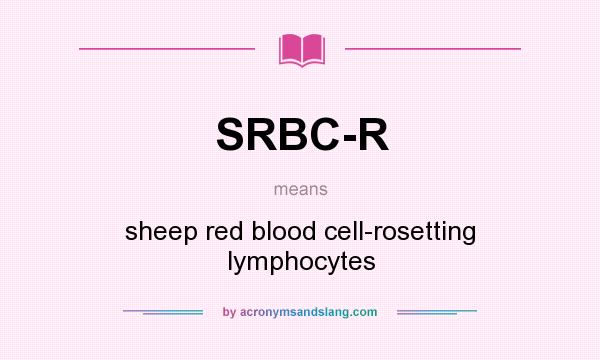 What does SRBC-R mean? It stands for sheep red blood cell-rosetting lymphocytes