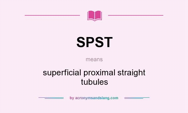 What does SPST mean? It stands for superficial proximal straight tubules
