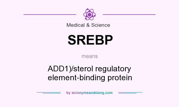 What does SREBP mean? It stands for ADD1)/sterol regulatory element-binding protein