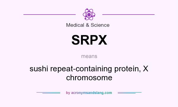 What does SRPX mean? It stands for sushi repeat-containing protein, X chromosome