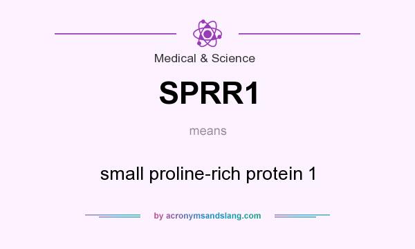 What does SPRR1 mean? It stands for small proline-rich protein 1