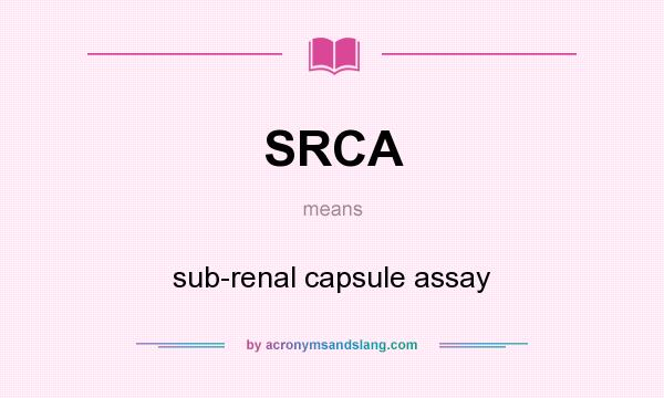 What does SRCA mean? It stands for sub-renal capsule assay
