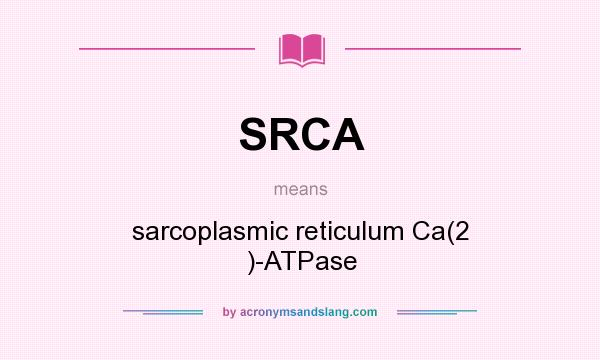 What does SRCA mean? It stands for sarcoplasmic reticulum Ca(2 )-ATPase