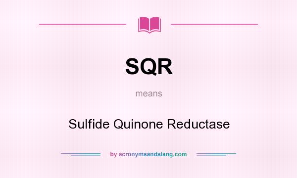 What does SQR mean? It stands for Sulfide Quinone Reductase