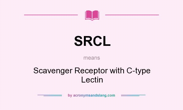 What does SRCL mean? It stands for Scavenger Receptor with C-type Lectin