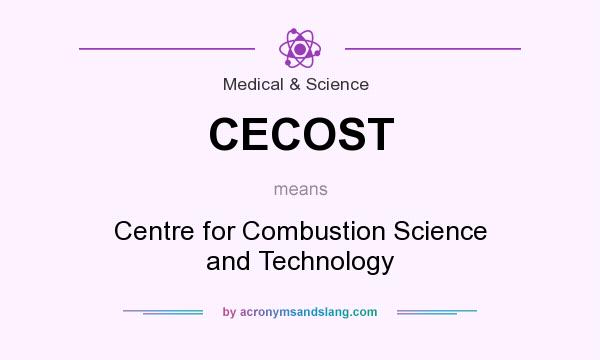 What does CECOST mean? It stands for Centre for Combustion Science and Technology