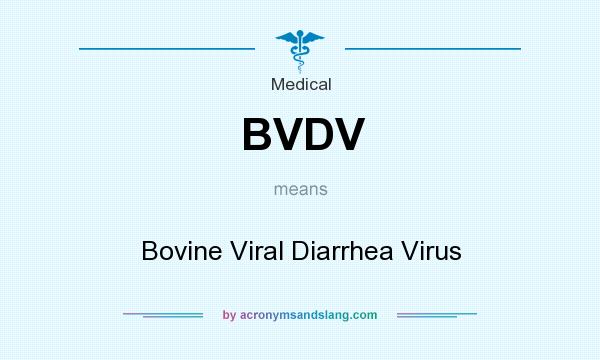 What does BVDV mean? It stands for Bovine Viral Diarrhea Virus