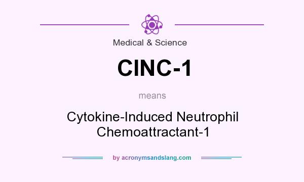 What does CINC-1 mean? It stands for Cytokine-Induced Neutrophil Chemoattractant-1