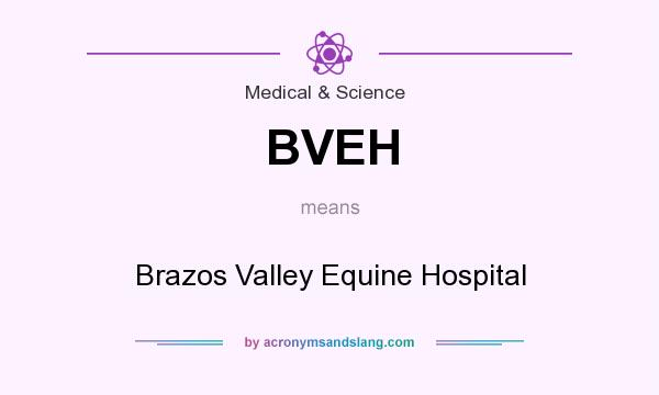 What does BVEH mean? It stands for Brazos Valley Equine Hospital