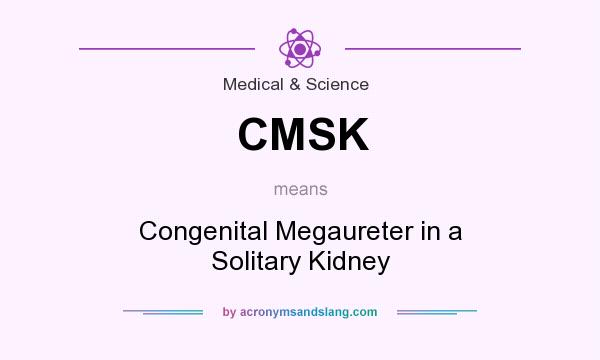 What does CMSK mean? It stands for Congenital Megaureter in a Solitary Kidney