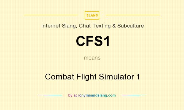 What does CFS1 mean? It stands for Combat Flight Simulator 1