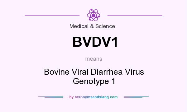 What does BVDV1 mean? It stands for Bovine Viral Diarrhea Virus Genotype 1