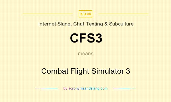 What does CFS3 mean? It stands for Combat Flight Simulator 3