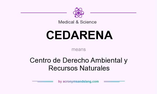 What does CEDARENA mean? It stands for Centro de Derecho Ambiental y Recursos Naturales