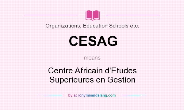 What does CESAG mean? It stands for Centre Africain d`Etudes Superieures en Gestion