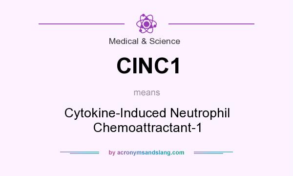 What does CINC1 mean? It stands for Cytokine-Induced Neutrophil Chemoattractant-1