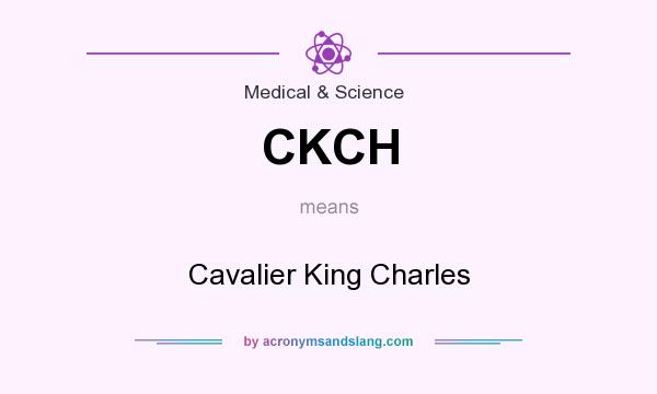What does CKCH mean? It stands for Cavalier King Charles