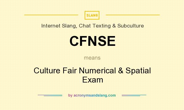 What does CFNSE mean? It stands for Culture Fair Numerical & Spatial Exam
