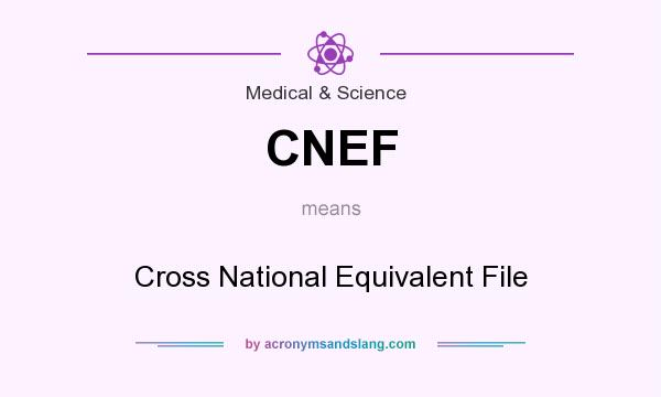 What does CNEF mean? It stands for Cross National Equivalent File