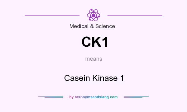 What does CK1 mean? It stands for Casein Kinase 1