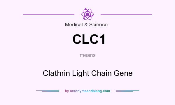What does CLC1 mean? It stands for Clathrin Light Chain Gene