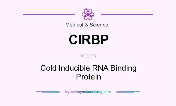 What does CIRBP mean? It stands for Cold Inducible RNA Binding Protein