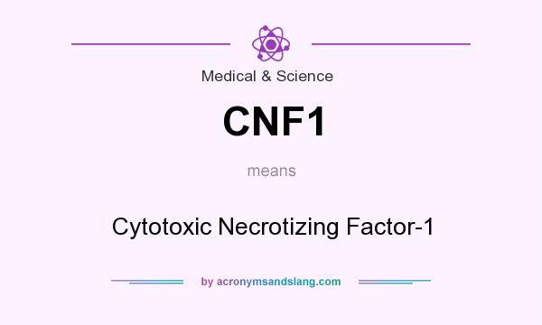 What does CNF1 mean? It stands for Cytotoxic Necrotizing Factor-1