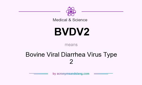 What does BVDV2 mean? It stands for Bovine Viral Diarrhea Virus Type 2