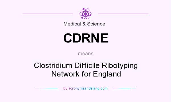 What does CDRNE mean? It stands for Clostridium Difficile Ribotyping Network for England