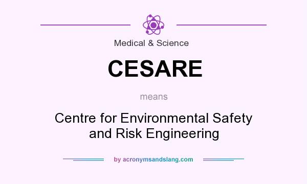 What does CESARE mean? It stands for Centre for Environmental Safety and Risk Engineering