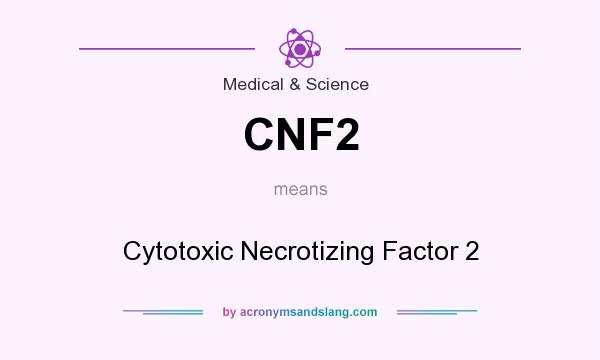 What does CNF2 mean? It stands for Cytotoxic Necrotizing Factor 2