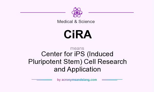What does CiRA mean? It stands for Center for iPS (Induced Pluripotent Stem) Cell Research and Application