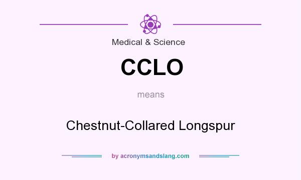 What does CCLO mean? It stands for Chestnut-Collared Longspur